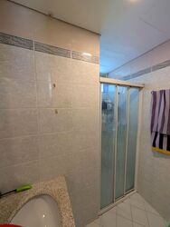 Oleander Towers (D12), Apartment #574188211
